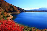 Autumn leaves at Lake Motosu, Yamanashi Prefecture