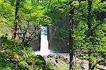 Green leaves and Naena waterfall, Niigata Prefecture