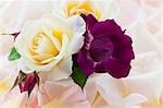 White, yellow and purple roses in a bouquet