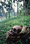 Skull in Bag Papua New Guinea