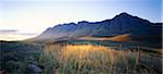 Terres agricoles près de Swellendam, Western Cape, en Afrique du Sud