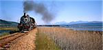 Outeniqua Choo Choo Wilderness zone, Garden Route Western Cape, Afrique du Sud