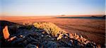 Désert Kakamas, Northern Cape en Afrique du Sud