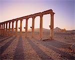 Colonnes en ruines de désert Palmyra, Syrie