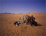 Portrait de femme Himba, debout près de cabane avec chèvres Namibie, Afrique