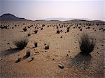 Paysage aride près Messum cratère Brandberg, Namibie, Afrique