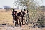 Rückansicht des Bushman Jäger in der Nähe von Bäumen, Namibia, Afrika