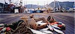 Poisson sur Dock, en Afrique du Sud