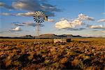 Windmühle in Karoo, Südafrika