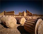 Fallen Columns Palmyra Ruins Syrian Arab Republic