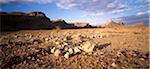 Sossusvlei, Namib Desert Namibia Africa