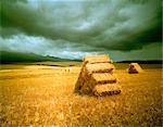 Hay Bales in Landscape South Africa