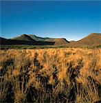 Karoo National parc Western Cape, Afrique du Sud