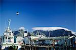 Victoria and Alfred Waterfront, Western Cape, Cape Province, South Africa