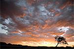 Coucher du soleil, Northern Cape, en Afrique du Sud