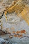 Rock Art, grottes de Stadsaal, les montagnes Cedarberg, Western Cape, Afrique du Sud