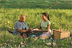 Couple at Picnic