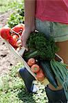 Junge Frau mit Gemüse im Korb