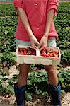 Young woman in strawberry field