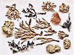 Dried sea plants