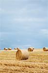 Hay bales in field, Dorset, England, United Kingdom