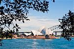 Sydney Opera House, UNESCO World Heritage Site, and bridge from the Sydney Botanic Gardens, Sydney, New South Wales, Australia, Pacific