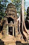 Overgrown roots and ruins at Ta Prohm Temple, Angkor Temples, UNESCO World Heritage Site, Siem Reap, Cambodia, Indochina, Southeast Asia, Asia