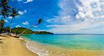 Panorama of an overhanging palm tree at Nippah Beach on tropical Lombok Island, Indonesia, Southeast Asia, Asia