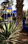 A cobalt blue pavilion surrounded by cactuses and palm trees in the Majorelle Garden, Marrakech, Morocco, North Africa, Africa