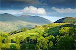 Commune de Matterdale, près de Dale Bottom, Parc National de Lake District, Cumbria, Angleterre, Royaume-Uni, Europe