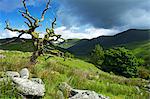 Woundale, Lake District National Park, Cumbria, England, United Kingdom, Europe