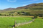 Luke's Mountain, Mourne Mountains, County Down, Ulster, Northern Ireland, United Kingdom, Europe