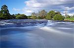 La rivière Exe près Brampford Speke, Devon, Angleterre, Royaume-Uni, Europe