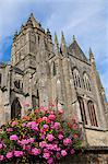 St. Peter church dating from the 15th century. with flowers, Coutances, Cotentin, Normandy, France, Europe