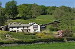 Château ferme, Sawrey, le domicile conjugal de Beatrix Potter, célèbre auteur d'histoires pour enfants, Parc National de Lake District, Cumbria, Angleterre, Royaume-Uni, Europe