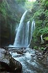 Cascade de Kelep Tiu Terjun air, Senaru, Lombok, Indonésie, Asie du sud-est, Asie