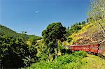 Blick vom Zug, zentrales Hochland, Sri Lanka, Asien