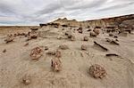 Badlands, San Juan Basin, New Mexico, Vereinigte Staaten, Nordamerika