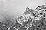 Schneebedeckte Berge bedeckt mit Nebel, Ouray County, Colorado, Vereinigte Staaten von Amerika, Nordamerika