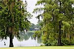 Spanish Moss, Orlando, Florida, Vereinigte Staaten von Amerika, Nordamerika