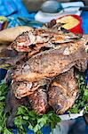 Poisson tilapia frit au marché de l'Amérique centrale Santiago Sacatepéquez, Guatemala,