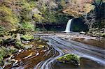 Sgwd Gwladus waterfall surrounded by autumnal foliage, near Ystradfellte, Brecon Beacons National Park, Powys, Wales, United Kingdom, Europe