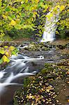 Wasserfall und im Herbst Laub am Blaen-y-Glyn, Brecon Breacons Nationalpark, Powys, Wales, Vereinigtes Königreich, Europa