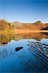 Mirror like reflections at Blea Tarn, Lake District National Park, Cumbria, England, United Kingdom, Europe