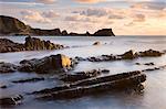 Am späten Abend Sonnenschein glitzert auf den nassen Felsen am Hartland Quay, North Devon, England, Vereinigtes Königreich, Europa