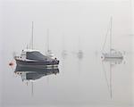 Bateaux dans la brume d'automne sur l'estuaire de Kingsbridge, Salcombe, South Hams, Devon, Angleterre, Royaume-Uni, Europe