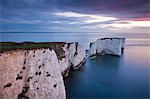 Old Harry Rocks au début de la Côte Jurassique, patrimoine mondial de l'UNESCO, Dorset, Angleterre, Royaume-Uni, Europe