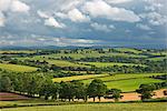 Rolling farmland in summer time, Morchard Bishop, Devon, England, United Kingdom, Europe