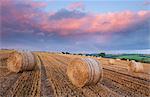 Bottes de foin dans un champ labouré sous un ciel coucher de soleil rose, Eastington, Devon, Angleterre, Royaume-Uni, Europe