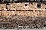 Village house with stone brick walls covered completely with hand shaped dung pats left there to dry in the sun, Sonepur, Bihar, India, Asia